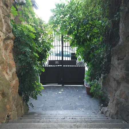 Y Residencia Tassoni 3*